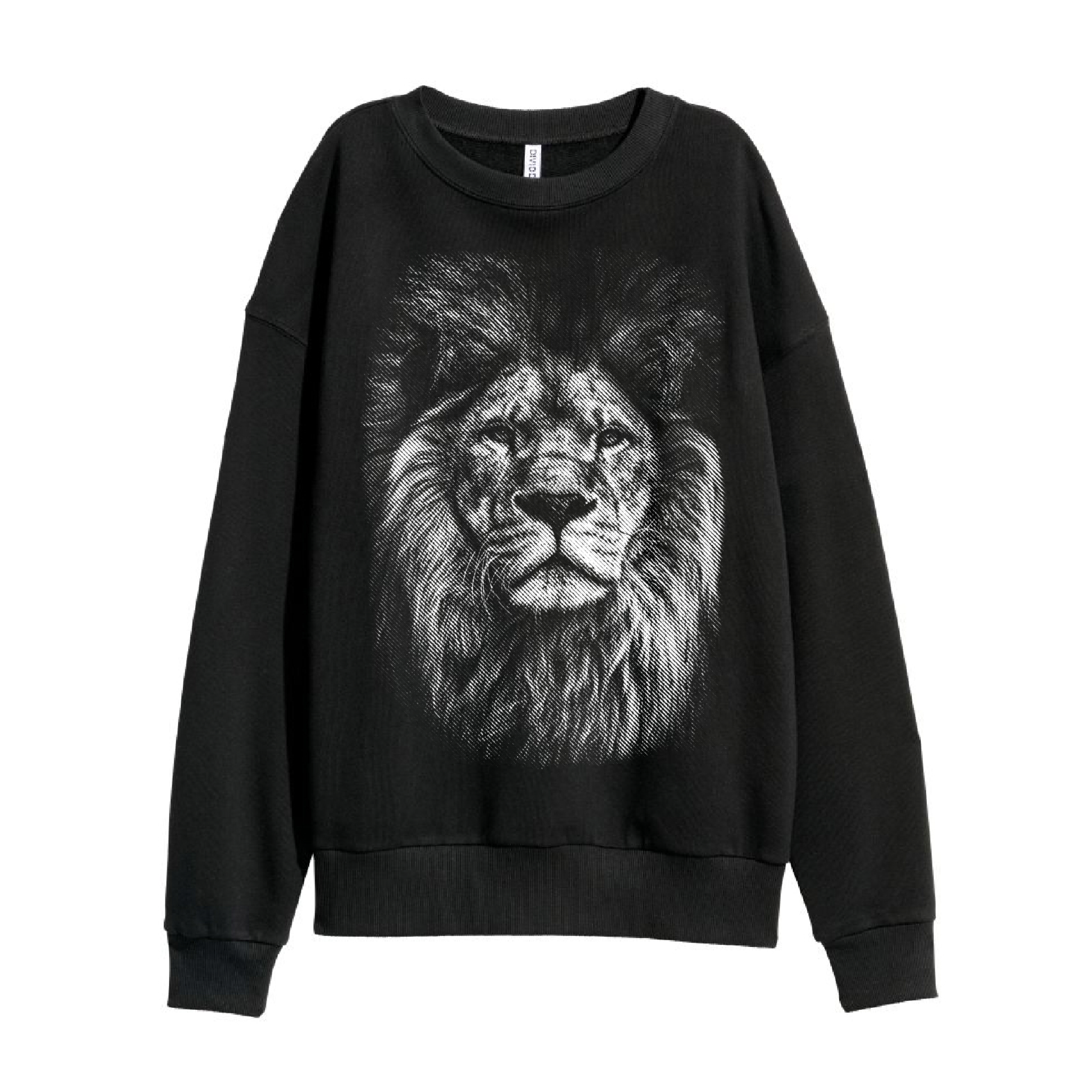 Sweatshirt lion 2025